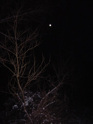 PICT1378.jpg