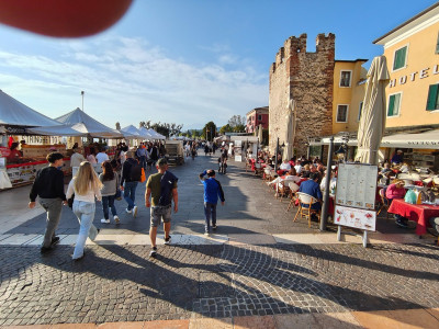 IMG_20260404_180136212.jpg