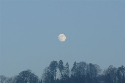 09.01.2009.20.JPG