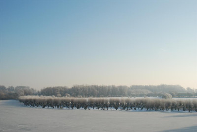 A7303_Large.JPG