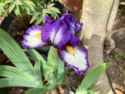 IMG_0859.jpeg