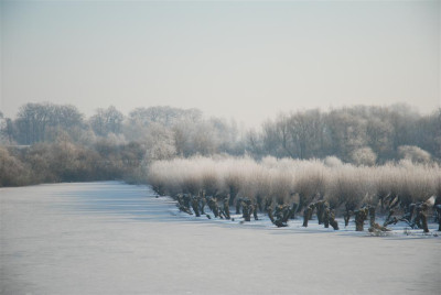 A7305_Large.JPG
