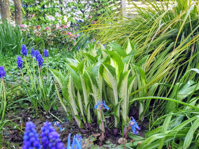 20260414_100144_1.jpg