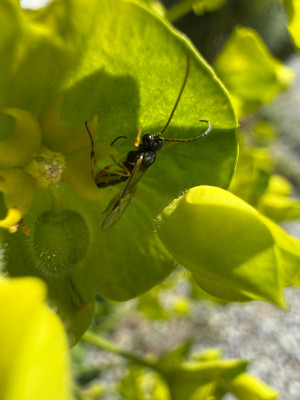IMG_0956.jpeg
