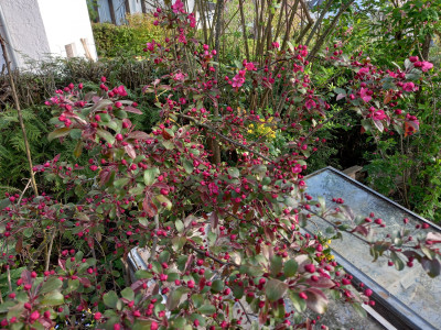 20260416_084804.jpg