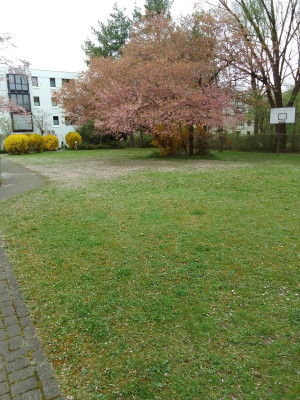 Wiese im Innenhof