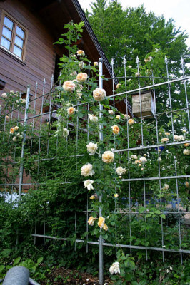 Alchimyst0107a.jpg