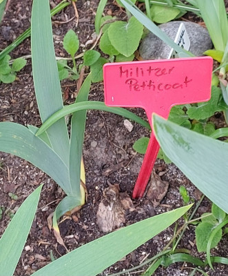 Hoffentlich bleibencsolche