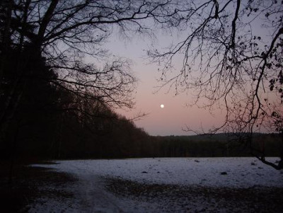 10.Januar_2009_025kl.17_Mond_Dammer._Licht._Wfr..JPG
