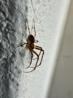 IMG_0218.jpeg