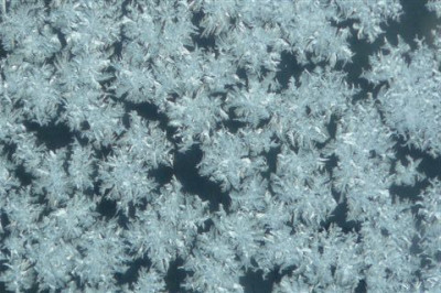 Eisblumen.11.01.2009.20.JPG