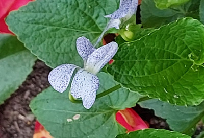 20260418_152953.jpg