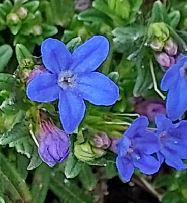 20260418_152826.jpg