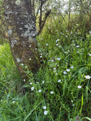 IMG_2835.jpeg