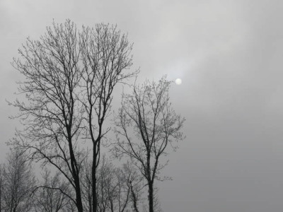 P1170087.jpg