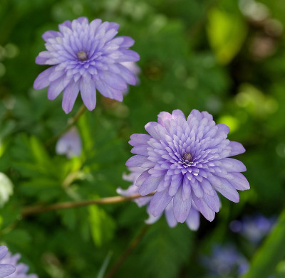 DSC_0002_DxO_DxO.jpg