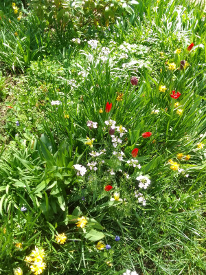 Buntes Allerlei