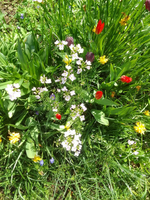 Allerlei Buntes