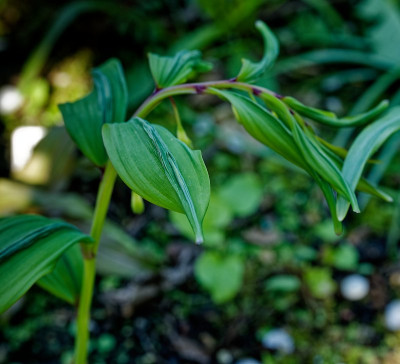 DSC_0011_DxO.jpg