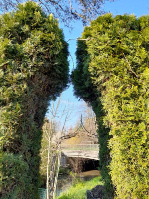 20260417_090229.jpg