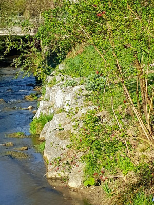 20260417_084306.jpg