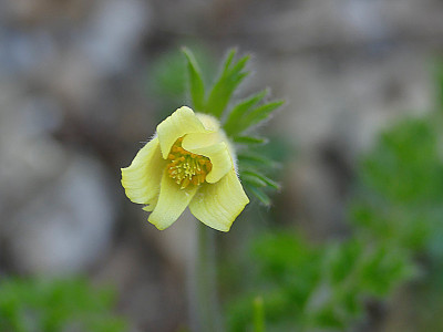 P1050022a.JPG