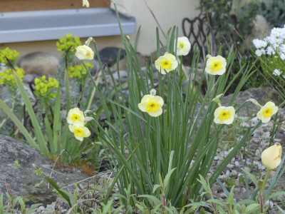 P1050011.JPG