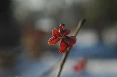 11._01._09_035.jpg