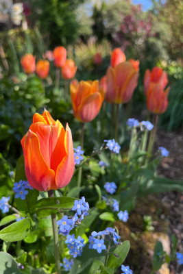 IMG_5067.jpeg