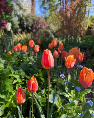 IMG_5073.jpeg