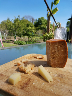 Pecorino alt mittel.jpeg