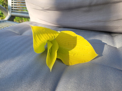 20260424_174015.jpg