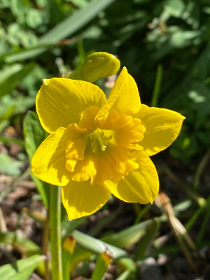IMG_7645.jpeg