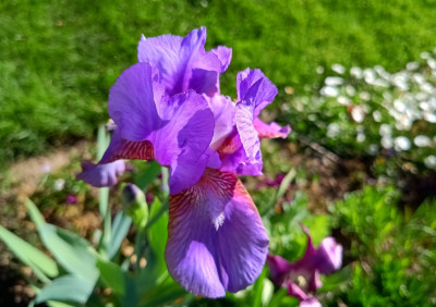 IMG_20260424_174007083_HDR~2.jpg