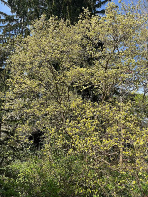 IMG_0812.jpeg