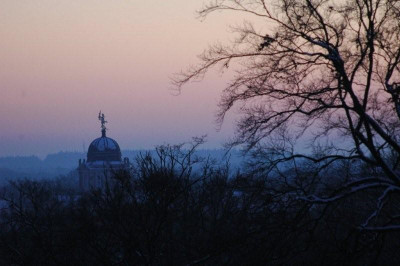 11._01._09_125.jpg
