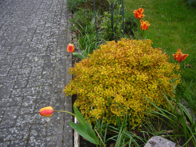 P1050044.JPG