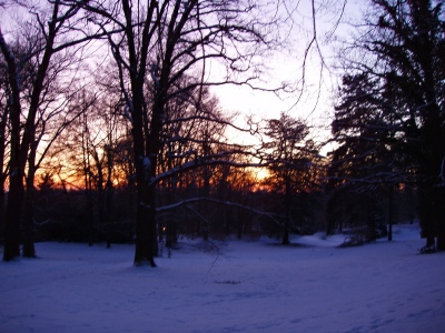 lheurebleue2009_1.jpg