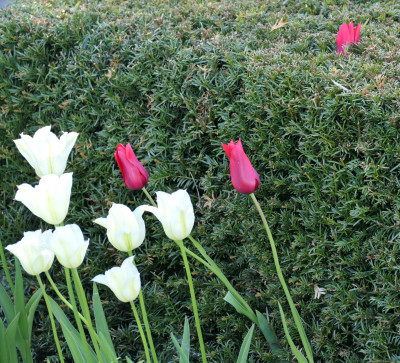 P1011992.JPG
