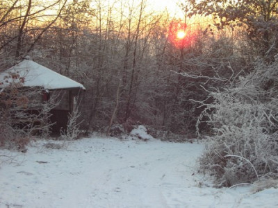 PICT1382-1.jpg