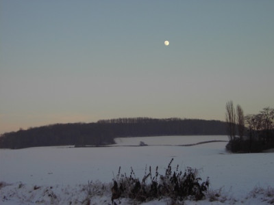 PICT1384-2.jpg