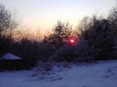 PICT1385.jpg