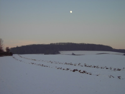 PICT1390-1.jpg
