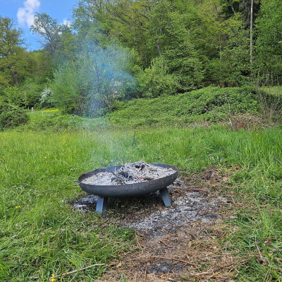 Feuerschale - alle Eibenäste weg + Brombeerranken f verkleinert 20260420_120428.jpg