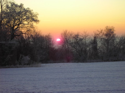 PICT1393-1.jpg