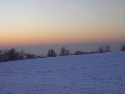 PICT1395-1.jpg