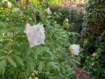 20260426_080705.jpg