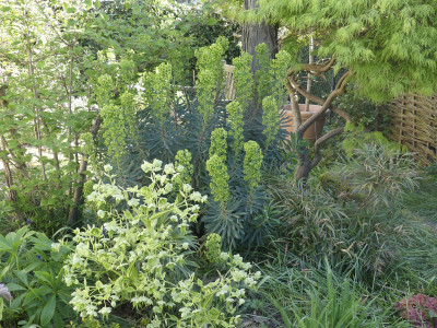 P1050029.JPG