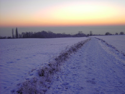 PICT1411.jpg