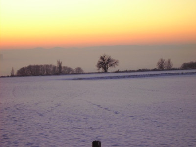 PICT1414.jpg